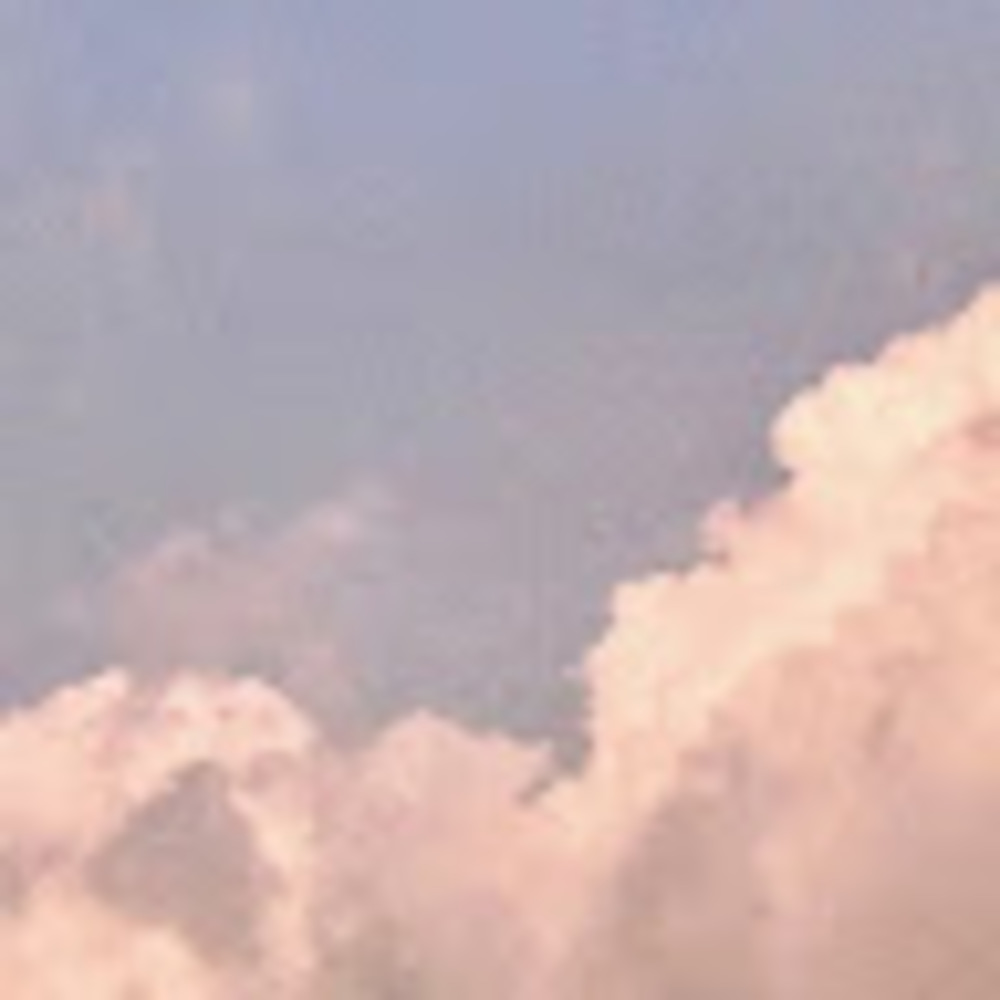 Meet your Posher, Vivian